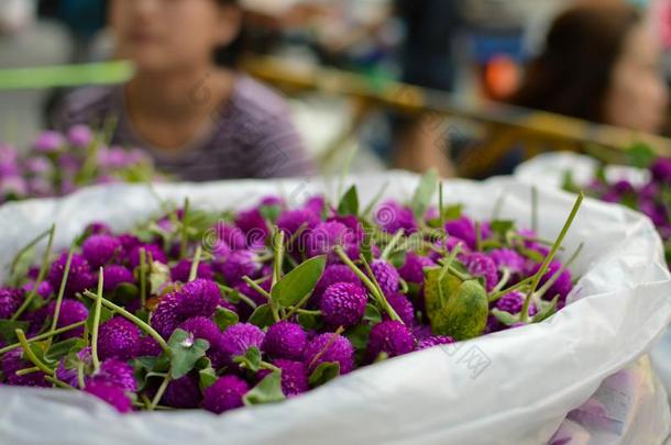 泰国曼谷<strong>花卉市场</strong>PakKlongTalad