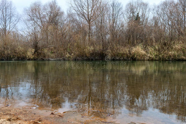 沉闷的多云秋季景观，河岸和树木反映在水中