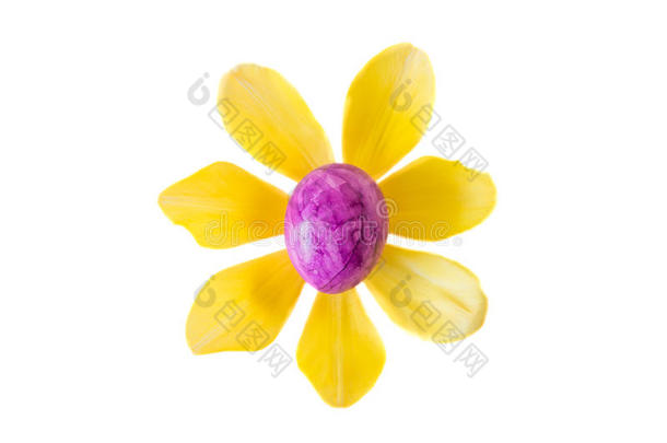 由紫罗兰复活节彩蛋和黄色郁金香花制成的花