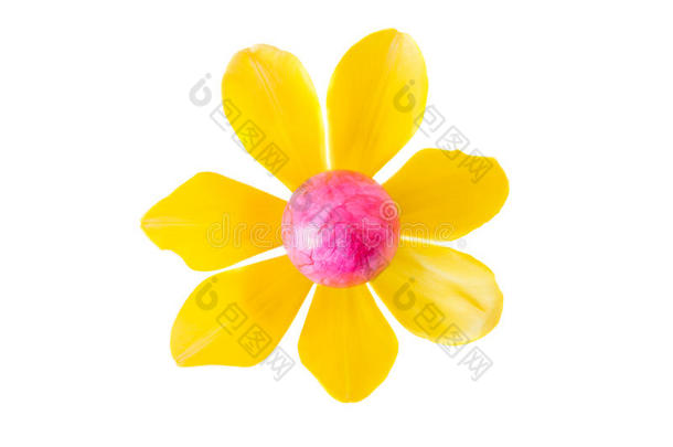 花由粉红色复活节彩蛋和黄色郁金香花制成