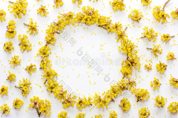 花图案与黄色的花<strong>茱萸</strong>，在白色背景上有空的文字空间