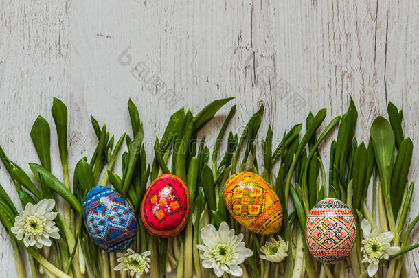 复活节背景，复活节鸡蛋和春天的花在绿色的草地上