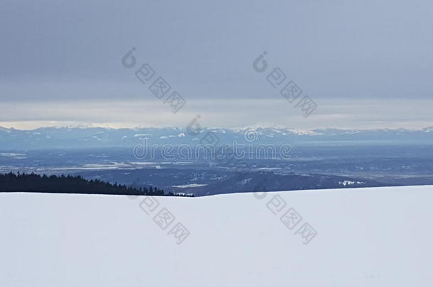 加拿大雪雪堆温哥华白色