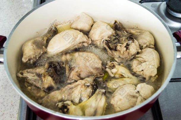 鸡肉在烤箱里煮熟，鸡肉以鸡肉的风格煮熟，切碎的鸡肉，鸡块，鸡块在锅里，生鸡