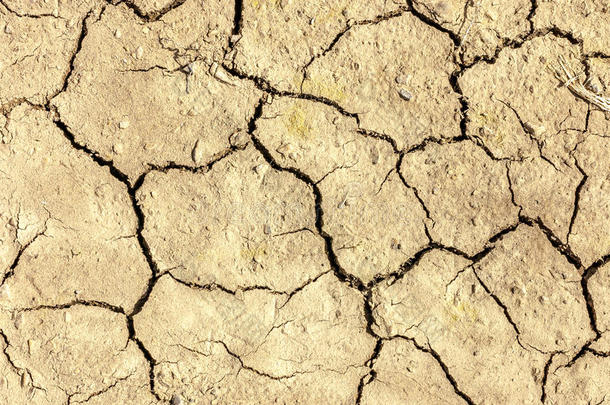 干燥的沙漠土地到处都是裂缝