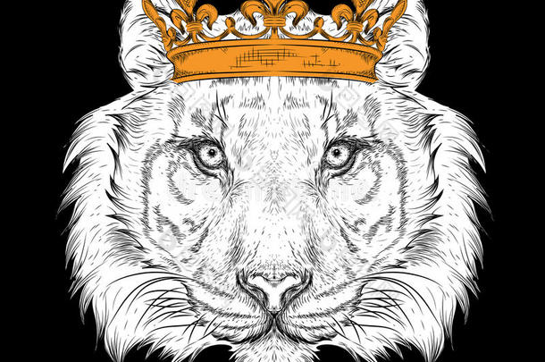 手画肖像老虎在皇冠上。 用于印刷，<strong>海报</strong>，t恤。 手绘矢量插图