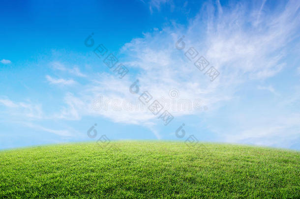 蓝天下郁郁葱葱的<strong>草地背景图片</strong>。