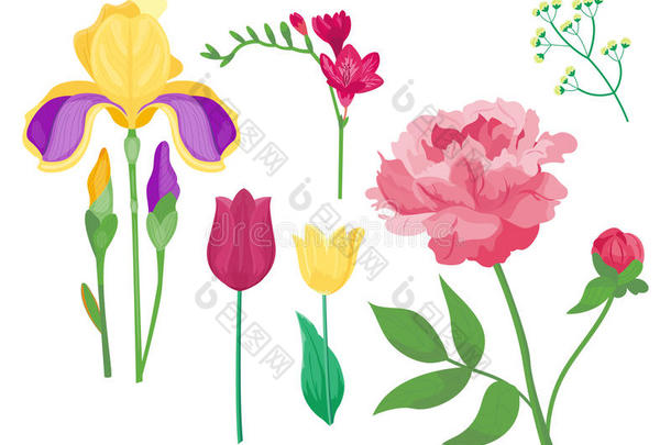 <strong>卡通花瓣</strong>，复古花卉矢量花束，花园花，植物，天然牡丹，插图和夏季花卉