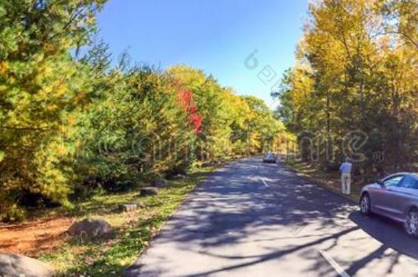 美丽的景观在树叶季节，新英格兰-美国