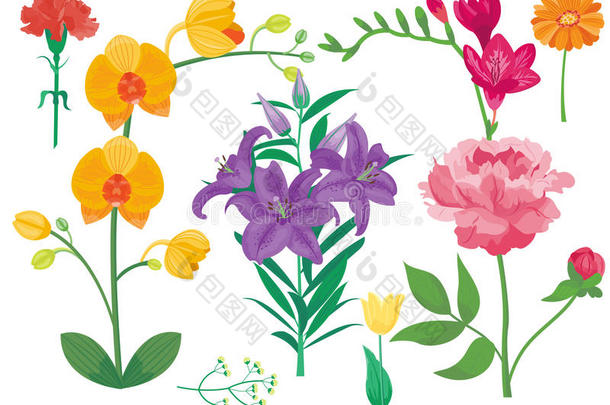 <strong>卡通花瓣</strong>，复古花卉矢量花束，花园花，植物，天然牡丹，插图和夏季花卉