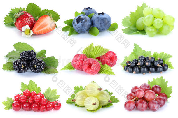 收集浆果，水果，葡萄，草莓，红色醋栗，浆果，分离在白色
