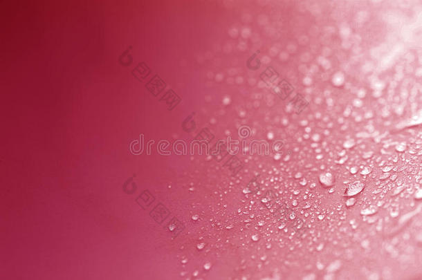 关闭雨水滴在红色海绵表面作为抽象