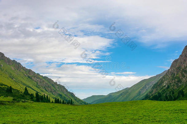 吉尔吉斯斯坦天山的青山草地。