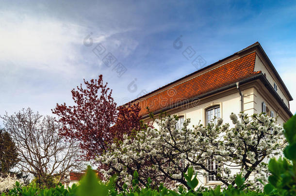 典型的法国<strong>住宅</strong>在斯特拉斯堡<strong>住宅</strong>区，开花春天，开花和园艺。