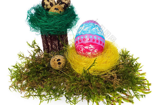 复活节彩蛋手绘五彩在鸟巢，森林苔藓，树桩