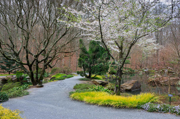 地区开花发现山<strong>茱萸</strong>探索