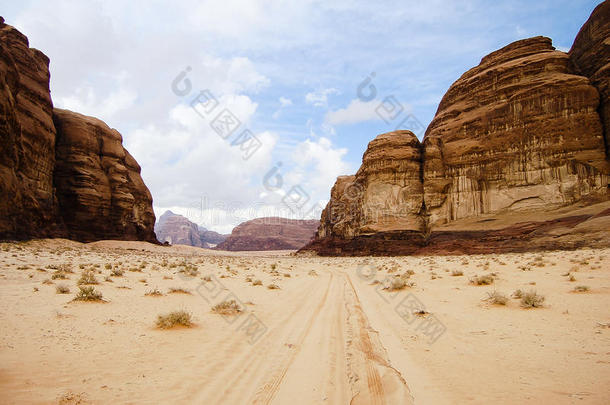 阿拉伯沙漠干的沙丘环境