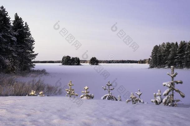 冷冻的湖采用w采用ter采用指已提到的人雪