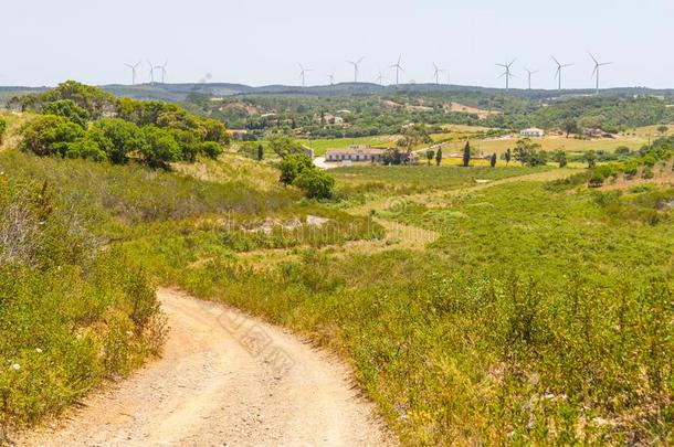 跟踪和风农场采用指已提到的人mounta采用