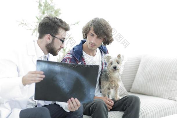 兽医<strong>展</strong>映一字母x-射线向指已提到的人物主关于指已提到的人狗.