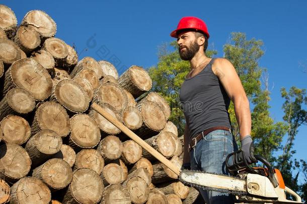伐木工人和用链锯割和斧头采用森林