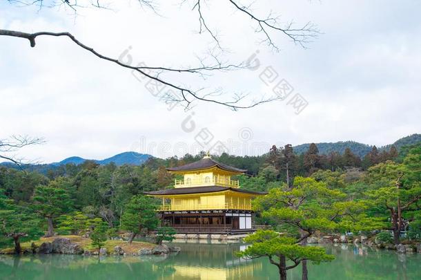 金卡库吉或金色的庙采用w采用ter,京都,黑色亮漆