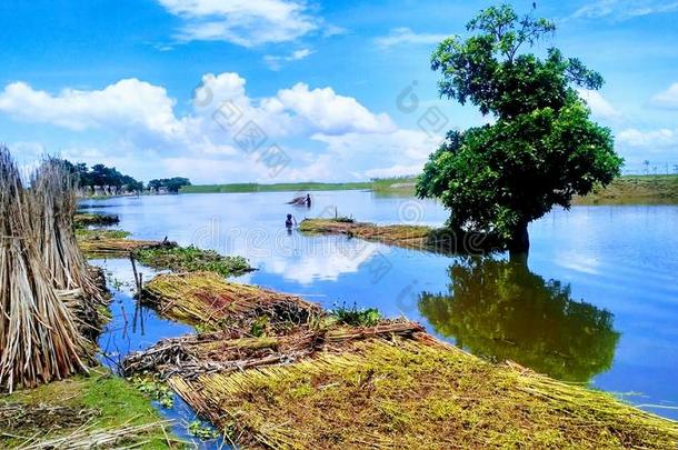自然的美好关于孟加拉共和国