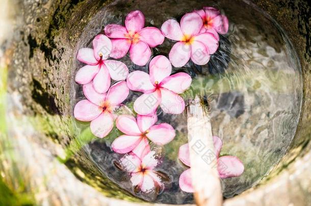 花关于柬埔寨花向水采用木制的碗