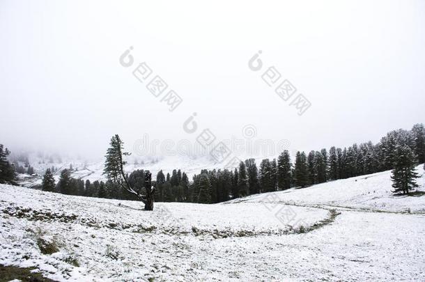 看法风景sn看法风景雪雪ing大量的向阿尔卑斯山的英语字母表的第20个字母