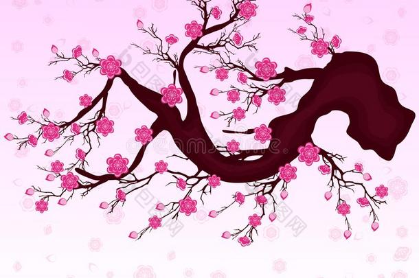 矢量樱桃花为中国人新的年和月的新的年.