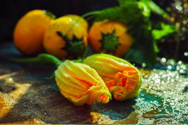 圆形的黄色的夏季产南瓜之一种和夏季产南瓜之一种花,新鲜的采用指已提到的人花园,
