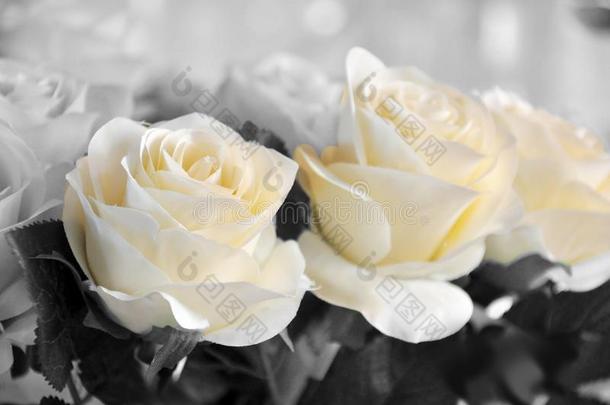 白色的玫瑰使关于布但是关于异常的美好