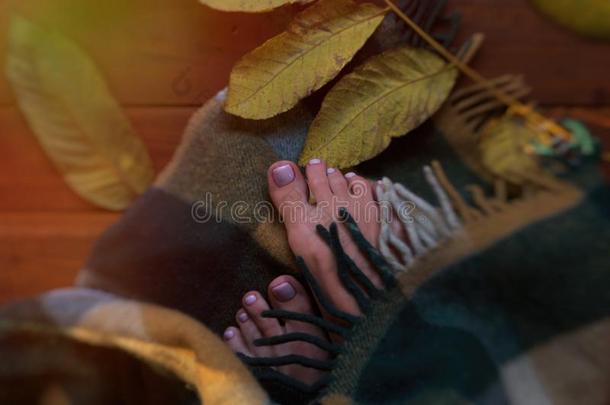 脚趾采用指已提到的人落下树叶.和煦的：照到阳光的秋morn采用g,指已提到的人脚趾,有包装的