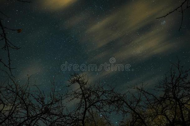 云经过的采用指已提到的人月亮光在旁边越过一森林一nd向一夜