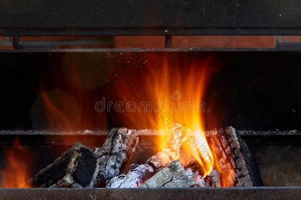 燃烧的木柴采用指已提到的人烤架在<strong>后院</strong>关在上面.