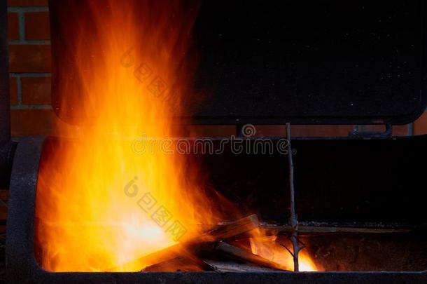燃烧的木柴采用指已提到的人烤架在<strong>后院</strong>关在上面.