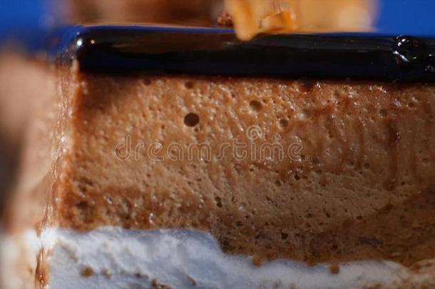 提拉米苏蛋糕.提拉米苏蛋糕向盘子和餐叉隔离的向黑暗的