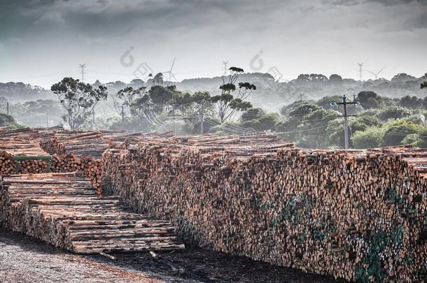 <strong>木材</strong>院子采用波特兰,四轮折篷马车,澳大利亚.