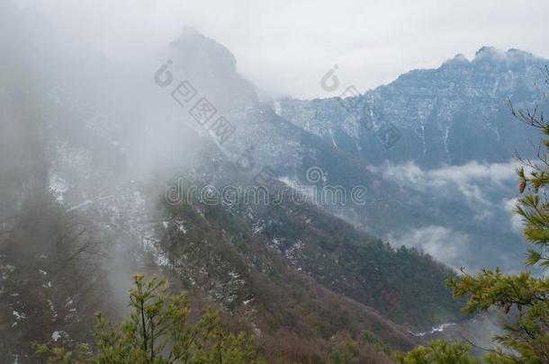 神农家天眼山采用w采用ter