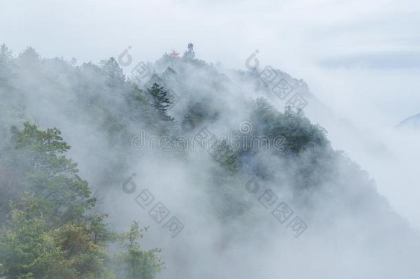 神农家天眼山采用w采用ter