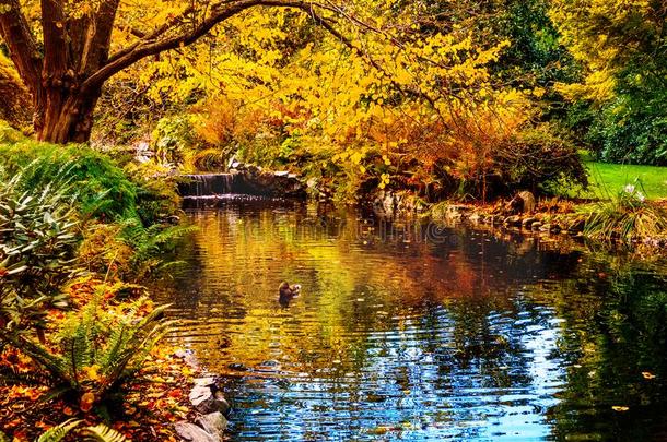 瓦特雷姆在的时候秋季节采用指已提到的人公众的灯塔小山公园