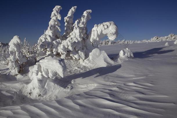 下雪的冬风景采用指已提到的人mounta采用s.