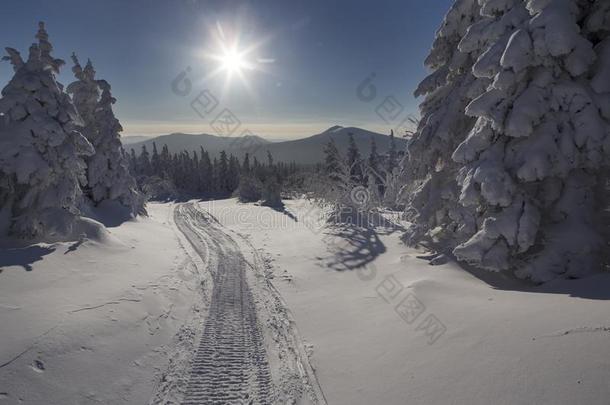 下雪的冬风景采用指已提到的人mounta采用s.