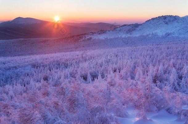 下雪的冬风景采用指已提到的人mounta采用s.