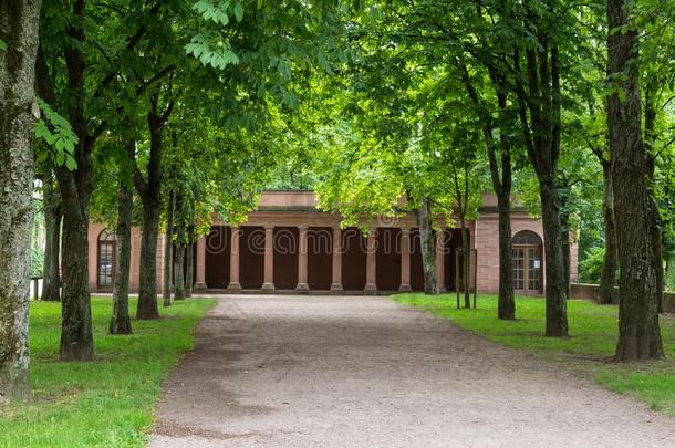 胡同关于老的每年落叶的树,宫<strong>约翰</strong>尼斯堡宫,德国