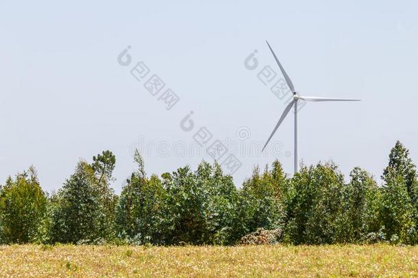 风农场和森林采用维拉港aux.构成疑问句和否定句比斯波