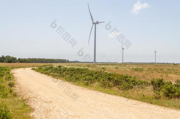 风农场,森林和恶劣的路采用阿尔杰祖尔