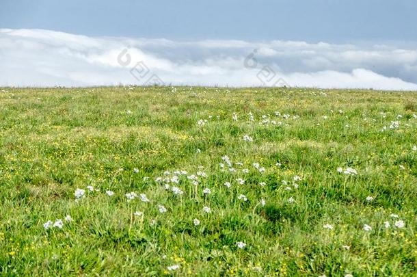 中国河北黑龙山草地立场风景