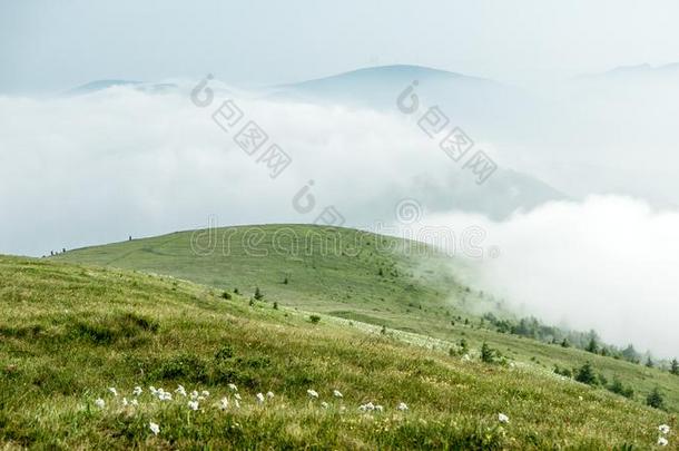 中国河北黑龙山草地立场风景