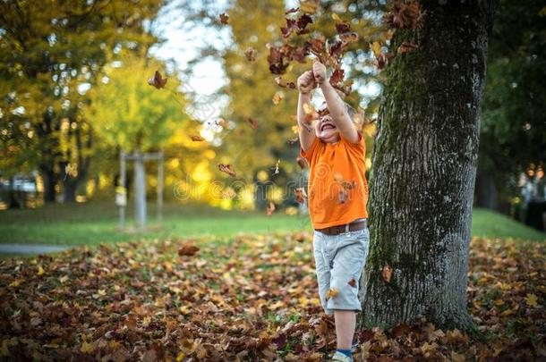 幸福的小的男孩aux.用以构成完成式及完成式的不定式乐趣演奏和阵亡者金色的树叶
